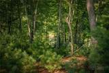 Lot 21 Bear Den Trail - Photo 15