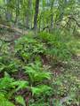 TBD Grassy Creek Road - Photo 1