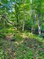 TBD Grassy Creek Road - Photo 11