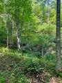 TBD Grassy Creek Road - Photo 12