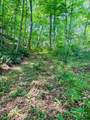 TBD Grassy Creek Road - Photo 13