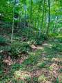 TBD Grassy Creek Road - Photo 14