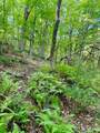 TBD Grassy Creek Road - Photo 15