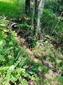 TBD Grassy Creek Road - Photo 16