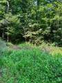 TBD Grassy Creek Road - Photo 4