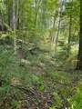 TBD Grassy Creek Road - Photo 5