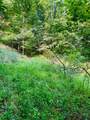 TBD Grassy Creek Road - Photo 7