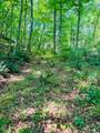 TBD Grassy Creek Road - Photo 8