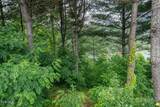 Lot 68 Cowan Town Road - Photo 2