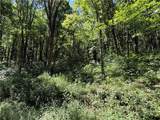 7 Wolfsbane Lane - Photo 3