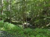 7 Wolfsbane Lane - Photo 8