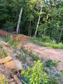 Lot # 9 Widow Mountain Drive - Photo 7