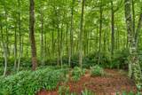 Lot 408 Tbd Firethorn Trail - Photo 7