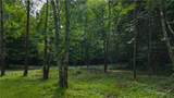 Lot 13 Hemlock Ridge Road - Photo 8