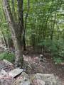 141 Sassafrass Road - Photo 4