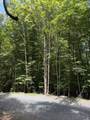141 Sassafrass Road - Photo 6