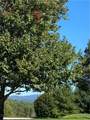 Lot 23 Bear Den Road - Photo 3