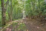 TBD Raven Rock Road - Photo 11