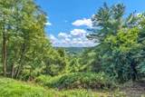 TBD Raven Rock Road - Photo 29