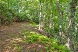 TBD Raven Rock Road - Photo 33