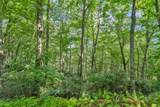 TBD Raven Rock Road - Photo 34