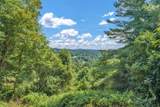 TBD Raven Rock Road - Photo 8