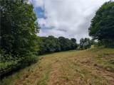 TBD Cobbs Creek Road - Photo 13