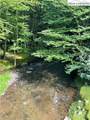 405 Firethorn Trail - Photo 7