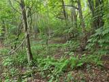 701 Pigeon Roost Road - Photo 16