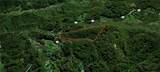 701 Pigeon Roost Road - Photo 7