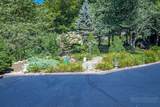 317 Silver Springs Drive - Photo 3