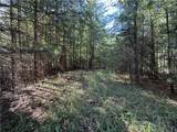 Lot 24 Wolf Pen Road - Photo 10