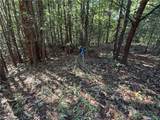 Lot 24 Wolf Pen Road - Photo 11