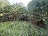 Lot 24 Wolf Pen Road - Photo 6