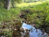 TBD Burnt Hill Road - Photo 16
