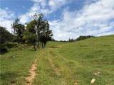 TBD Burnt Hill Road - Photo 6