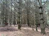TBD Burnt Hill Road - Photo 9