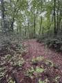 Lot 11 Bell Branch Road - Photo 3