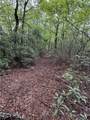 Lot 11 Bell Branch Road - Photo 4
