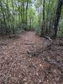 Lot 11 Bell Branch Road - Photo 7