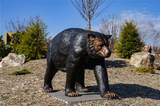 Lot 94 Bear Paw Road - Photo 16