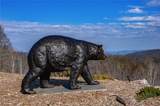 Lot 94 Bear Paw Road - Photo 17