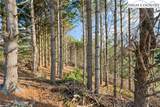 TBD Wildcat Road - Photo 11