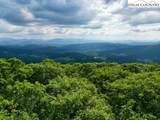 796 Goat Mountain Road - Photo 11
