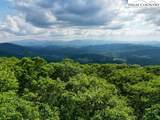 796 Goat Mountain Road - Photo 13
