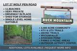 Lot 27 Wolf Pen Road - Photo 1