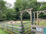 30 Sourwood Knoll - Photo 37