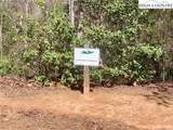 2.12 acres, Lot 2 Round Mountain Parkway - Photo 4