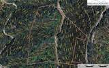 Lot 102 & 103 Hickory Hollow Road - Photo 21