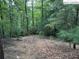 Lot 102 & 103 Hickory Hollow Road - Photo 5